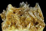 Honey Yellow Celestine (Celestite) Crystal Cluster - Poland #175409-5